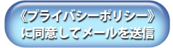 《プライバシーポリシー》に同意してメールを送信